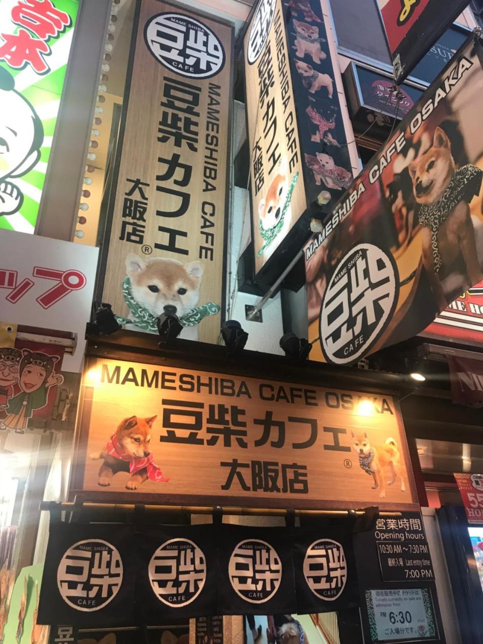 Apartamento Family House Osaka